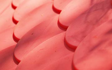 Tarrant Monkton plastic roof costs