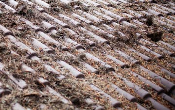 Tarrant Monkton roof cleaning companies