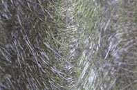 Tarrant Monkton fibreglass roof work